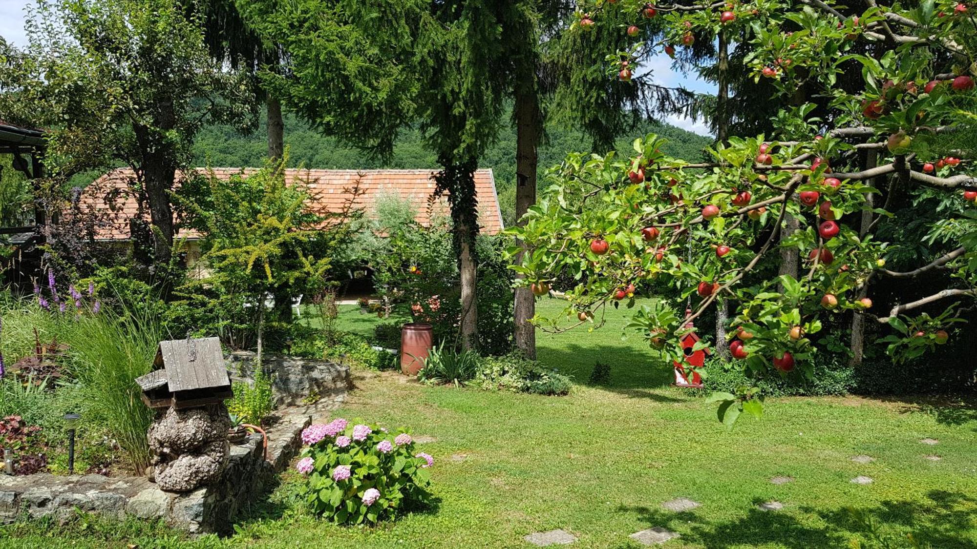 Szarvasko Szeruskert Vendeghaz Villa Exterior foto